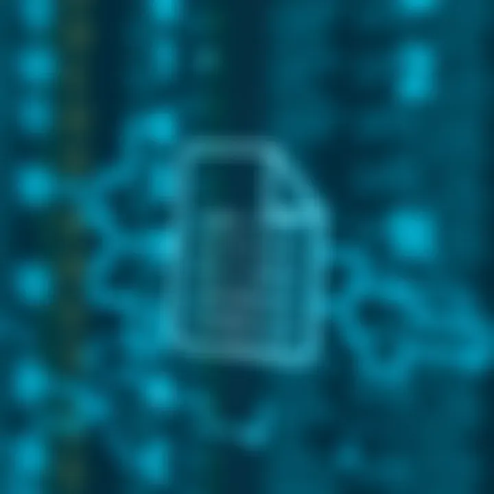 Structure of a Binary Application File Diagram illustrating the structure of a binary application file with hexadecimal and code segments